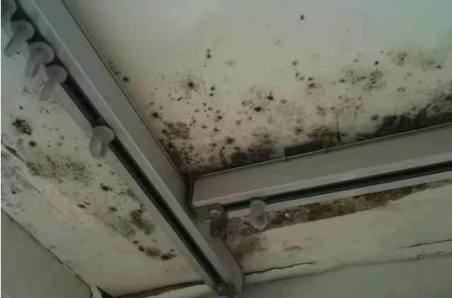 室內(nèi)結(jié)露發(fā)霉