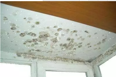 室內(nèi)結(jié)露發(fā)霉