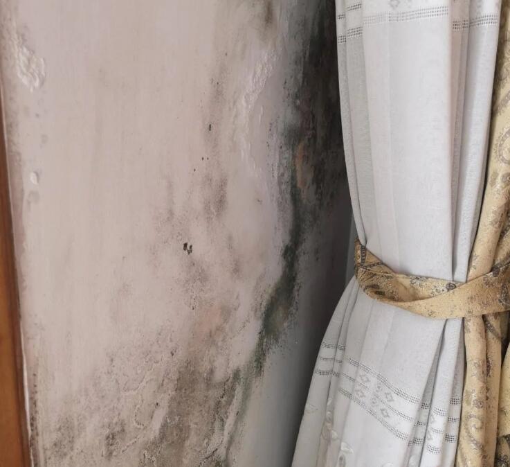 居民樓加裝外墻保溫,三伏天家中墻壁發霉,怎么回事?